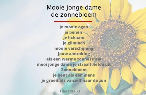 Heute ist Welt-Sonnenblumentag
